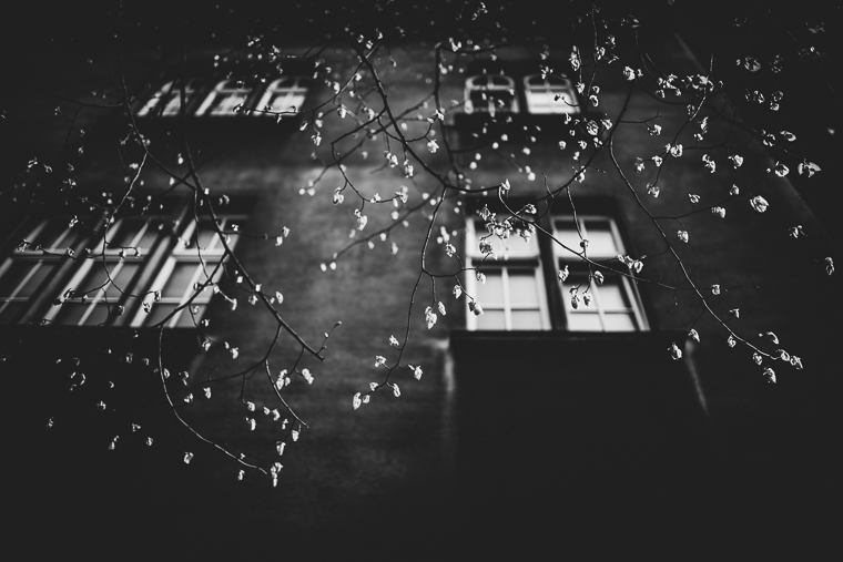 59__J♥K Krakow L♥T_Silvia Taddei Destination Photographer 018.jpg